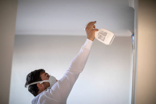 Mold Removal Process in Jackson, AL