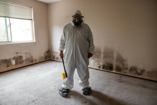 Certified Mold Removal in Jackson, AL